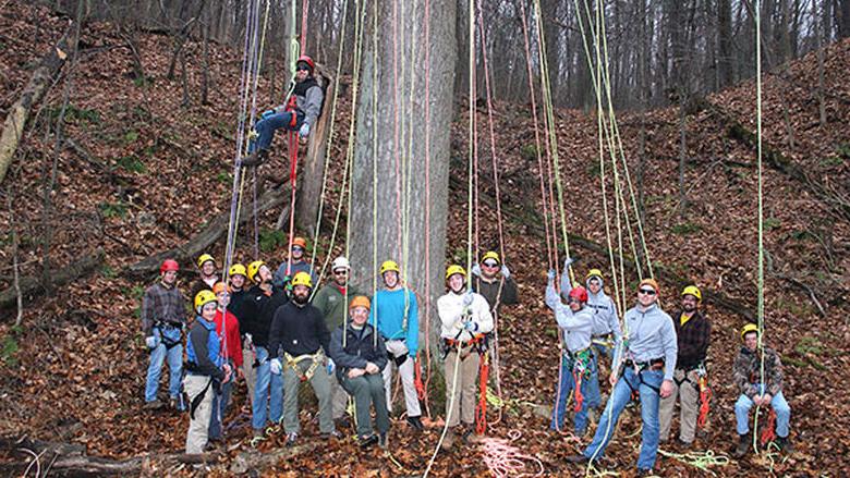 Big Tree Climb