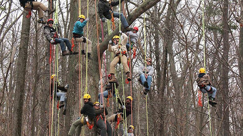 Big Tree Climb_2