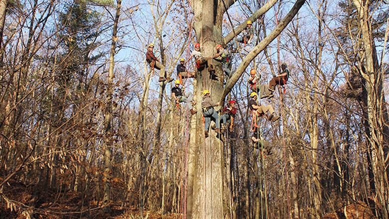 Penn State Mont Alto forestry students' Big Climb